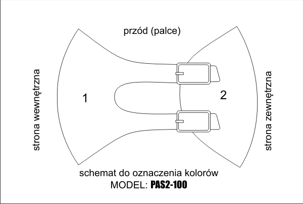 PAS2-100 – SCHEMAT