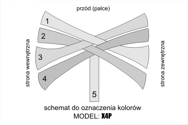 X4P – SCHEMAT